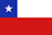 Punta Arenas national flag