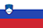 Kranj national flag