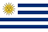 Paysandú national flag