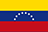 Ciudad Guayana national flag